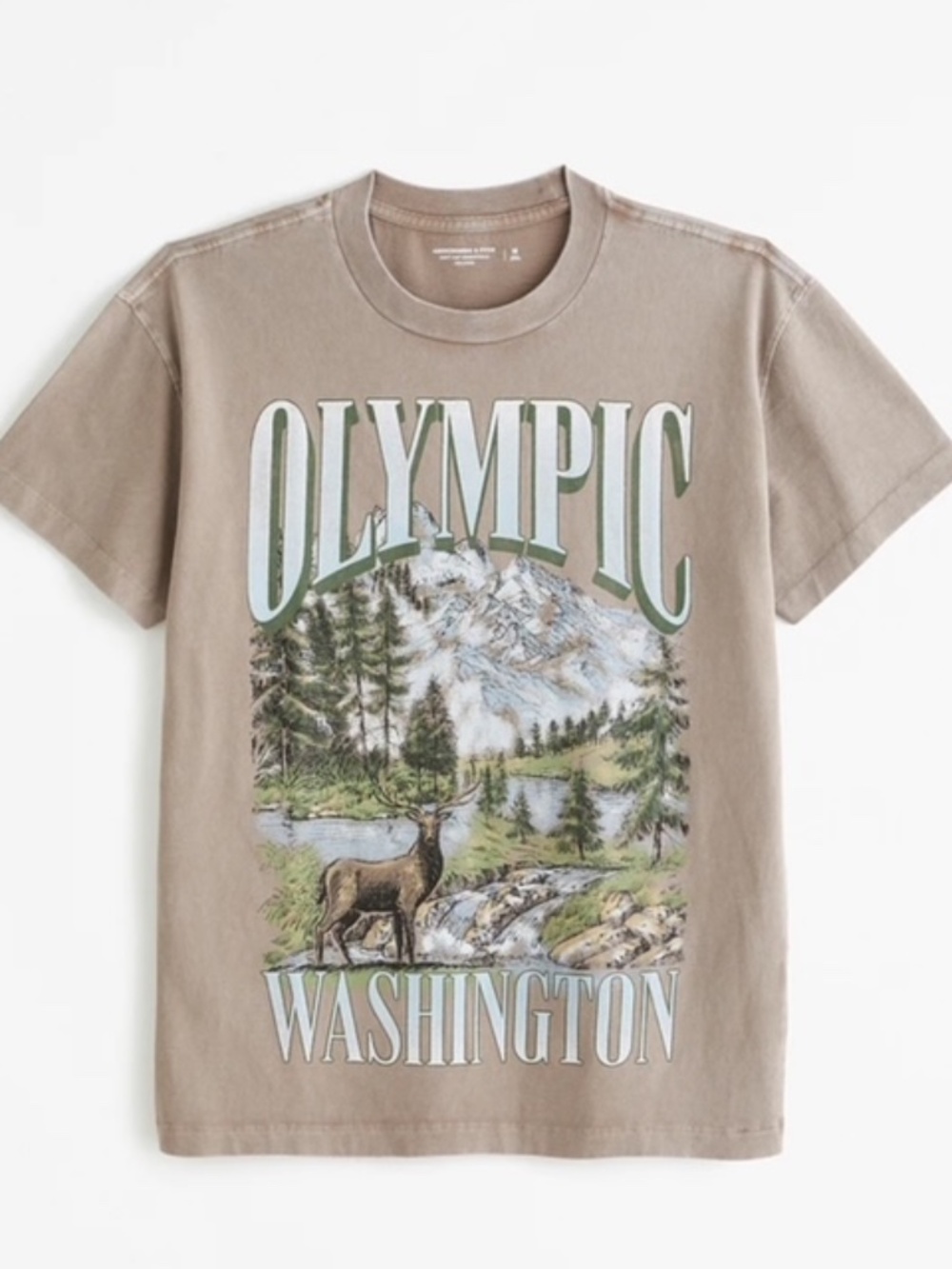 Abercrombie and Fitch- Soft Relaxed AF essential Olympic Washington (Unisex)- M - Picture 1 of 3